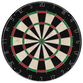 Professional Dartboard Sisal with 6 darts